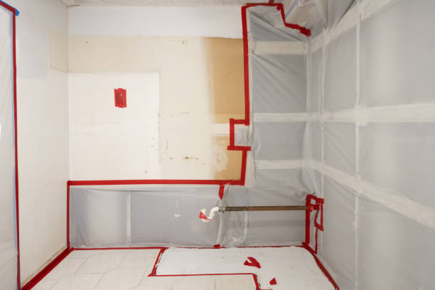 Best Mold Odor Removal Services  in Millis Clicquot, MA