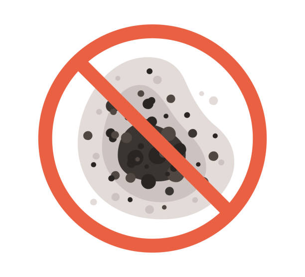 Mold Documentation for Insurance Claims in Millis Clicquot, MA