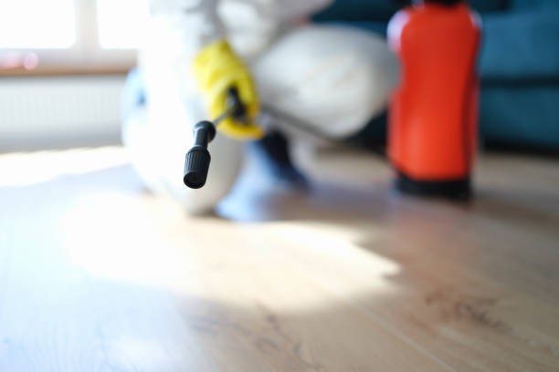 Best Industrial Mold Remediation  in Millis Clicquot, MA