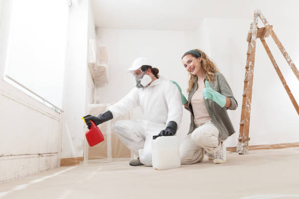 Best Biohazard Mold Removal  in Millis Clicquot, MA