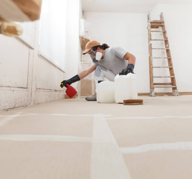 Best HVAC Mold Inspection and Cleaning  in Millis Clicquot, MA