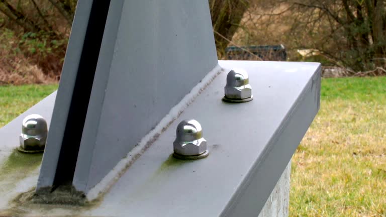 Best Forensic Mold Investigation  in Millis Clicquot, MA